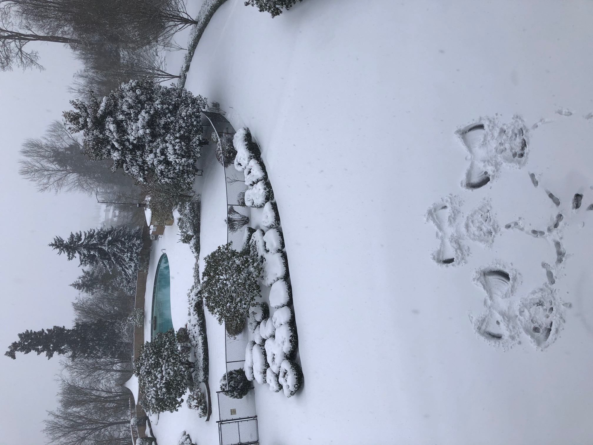 Snow Angels Visit Fairway Estates February 2021/Rex Cowdry&conn=none