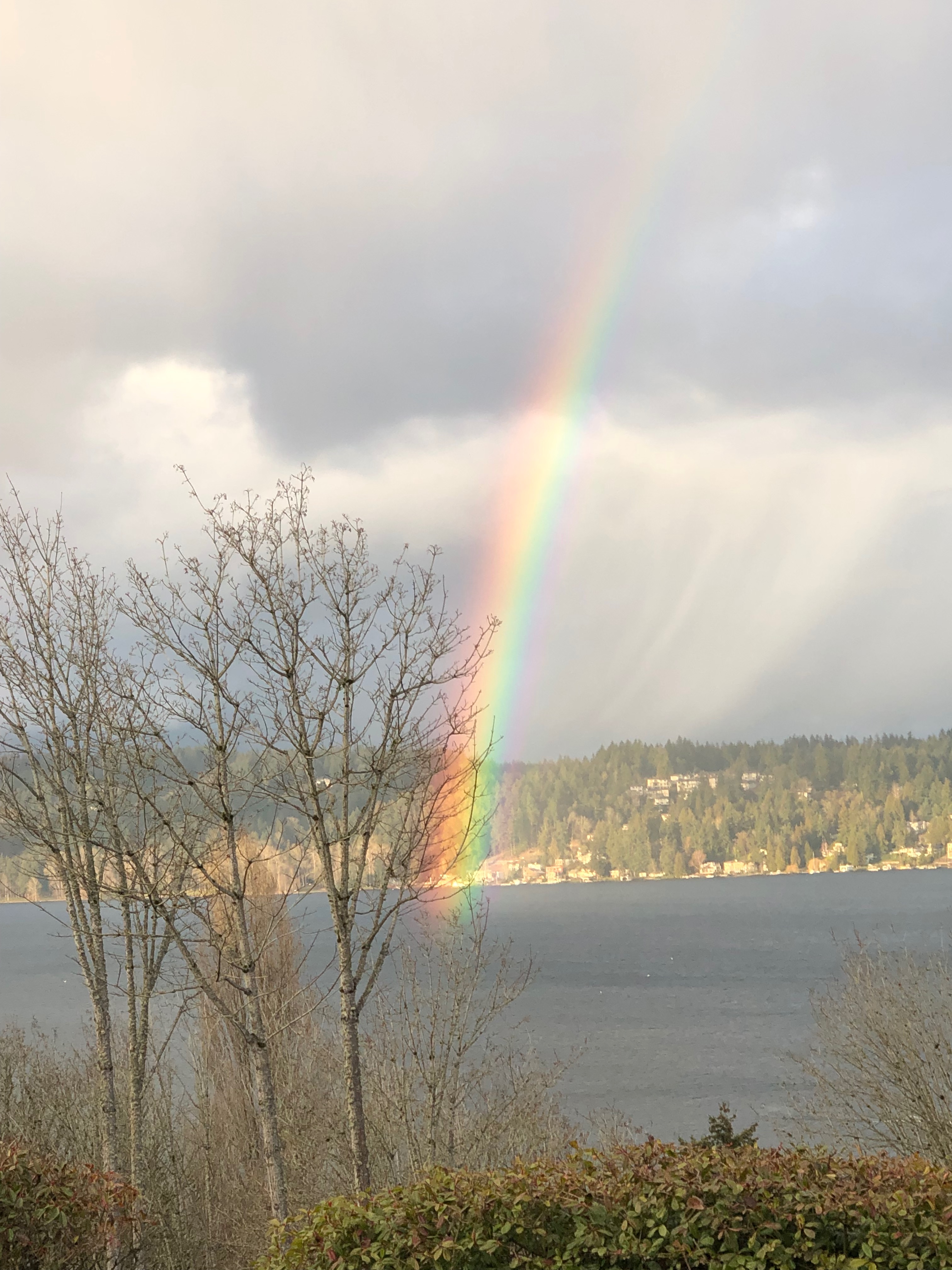 Rainbow in March (Carol Furry)&conn=none