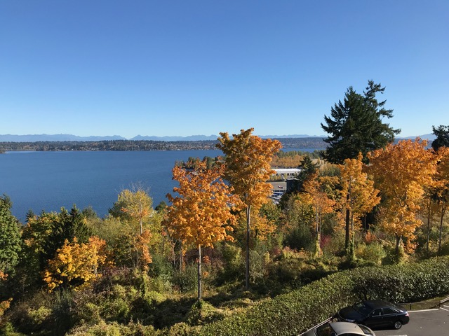 Autumn lake view (Jim Kressbach)&conn=none